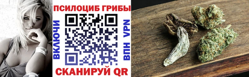 МЕГА как зайти  дарнет шоп  Грязовец  Псилоцибиновые грибы ЛСД 